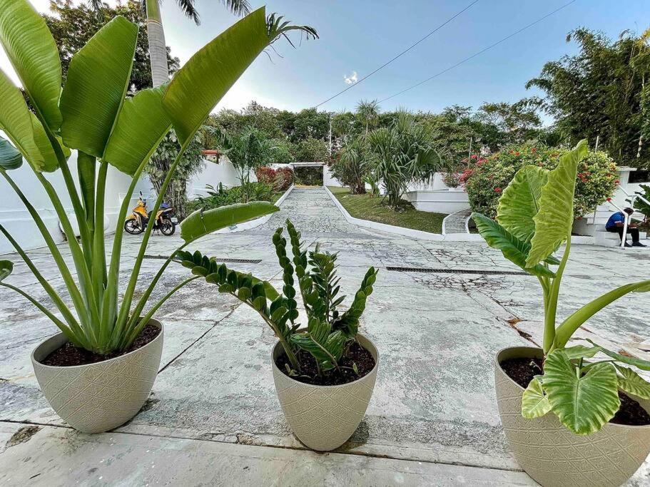 Casa Sol Y Luna -Beautiful Sunrises And Infinity Pool Bacalar Exterior foto